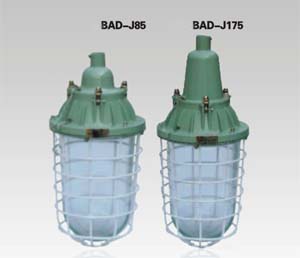 BAD-C-Jϵй(ji)ܷɹ11B