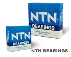 NTNSϺNTNSй˾