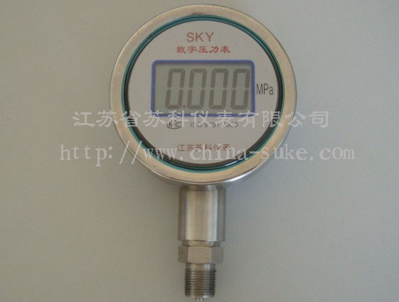 數(shù)字顯示壓力表