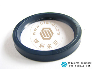 德國(guó)T20(邁克)密封件
