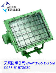 防爆泛光燈，BTD-110防爆泛光燈BTD-110，防爆泛光燈廠家+天網(wǎng)防爆公司