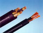 計(jì)算機(jī)專用電線DJYVP電纜
