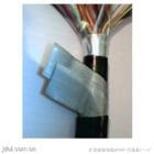 DN阻燃通訊電纜 ZR-HYV ZR-HYA ZR-HYA22 13*2*0.3