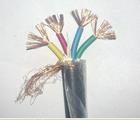 (gu)(bio) VVR VVR22 RVV RVV22 1*61KVܛо|