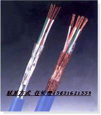 齊全KVVP2-22屏蔽控制電纜型號(hào)|小貓牌|天纜集團(tuán)控制電纜|