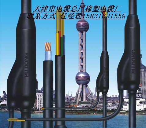 【暢銷(xiāo)】礦井用分支電纜 礦井照明分支電纜 礦用分支電纜廠家【圖】