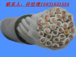 【暢銷(xiāo)】國(guó)標(biāo)橡膠電纜 船用電纜型號(hào) CEFR電纜產(chǎn)品制造商【圖】
