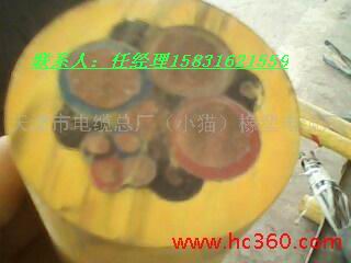 供應(yīng)小貓牌UGEFP高壓露天橡套軟電纜