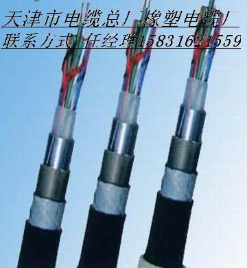 鐵路信號電纜PTYA23 PTYA22 PTY