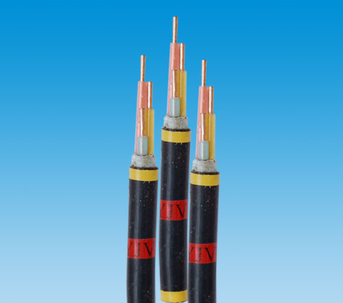 銅帶屏蔽計算機(jī)電纜-型號：DJFP2V DJYP2V