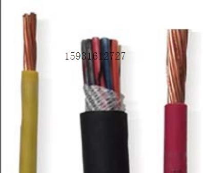 cefr國標(biāo)CEFR船用電纜CEFR電纜價格優(yōu)質(zhì)CEFR電纜廠家
