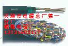 MHYV大連煤礦用鎧裝通信電纜MHYV電纜