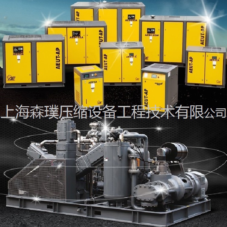 艾能空壓機(jī) 艾能螺桿空壓機(jī) 艾能機(jī)械 中山艾能機(jī)械 艾能亞太廠家