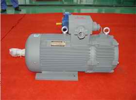 起重冶金爆型電磁制動(dòng)電機(jī)