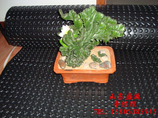 供應(yīng)“塑料排水板施工”??！“排水板價格”“車庫頂板排水板”