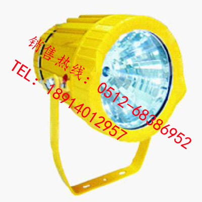 DGS70-127B(A)礦用隔爆型投光燈 蘇州陽(yáng)崗電器有限公司