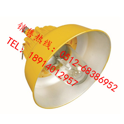 BLC8600/BPC8700防爆道路(平臺(tái))燈 陽(yáng)崗照明