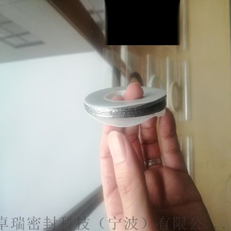 聚四氟乙烯夾包墊片，密封墊片