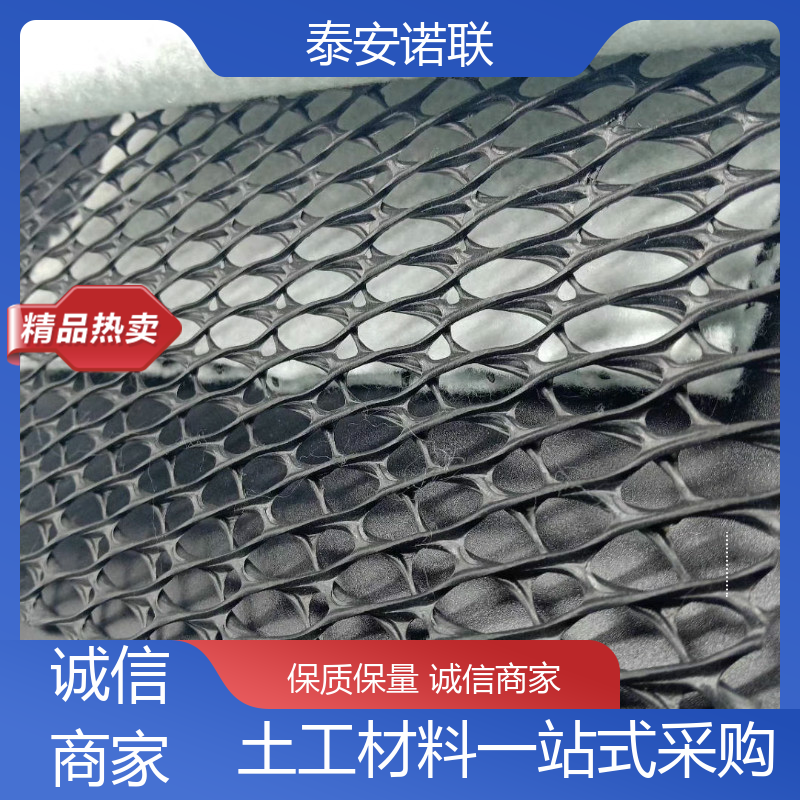 公路基建工程三維復合排水網擋墻路基導流網按需定制諾聯