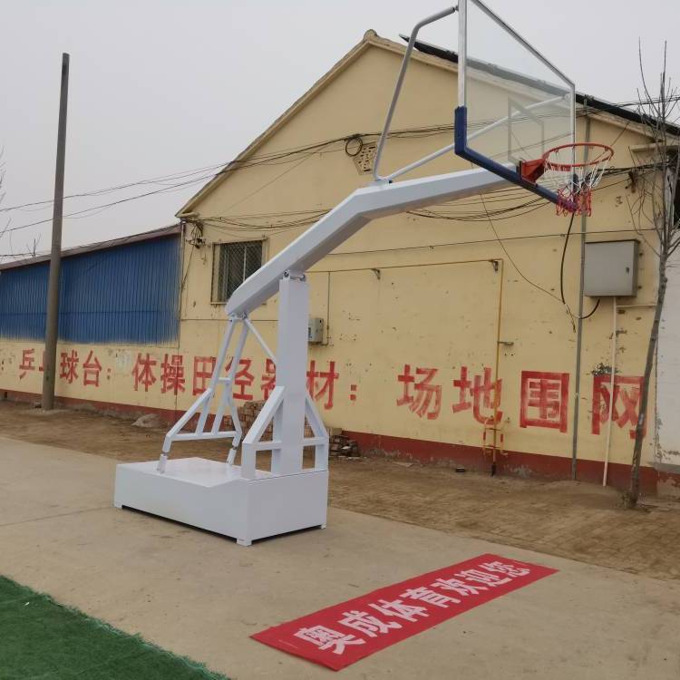 成人籃球架戶外標準可移動家用室外訓(xùn)練比賽落地式學校籃球框