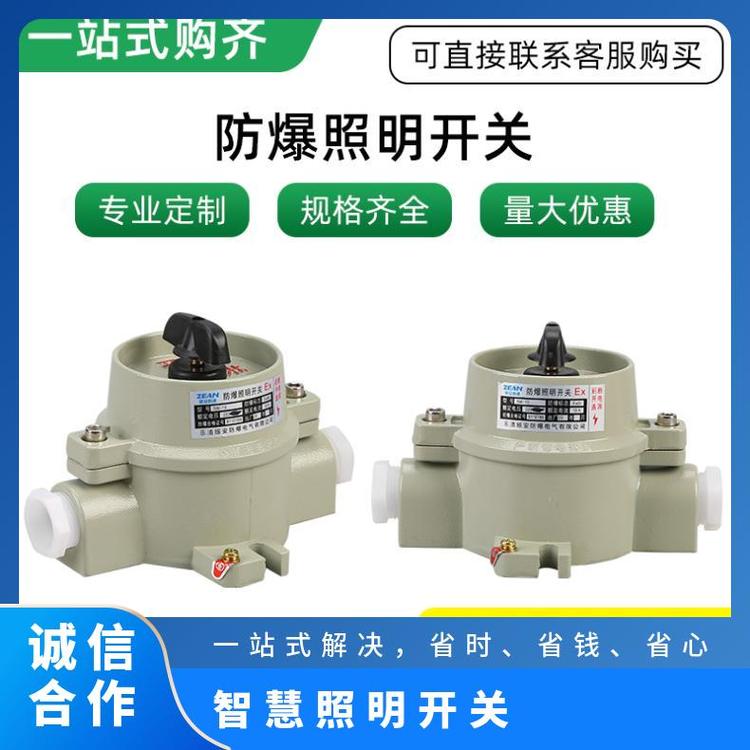 防爆照明開關(guān)SW-10絕緣電壓2200V銀色酒店、賓館會(huì)所雙極