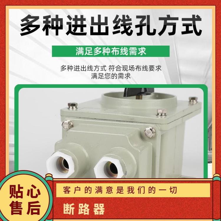 鋁合金A\/3防爆電機(jī)開關(guān)型號GSH204-C25訂貨號多小型斷路器