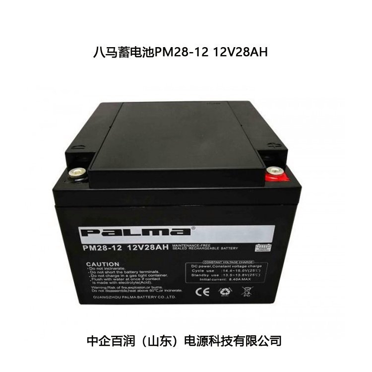 RPM28-12(q)ϵy(tng)늳12V28AH