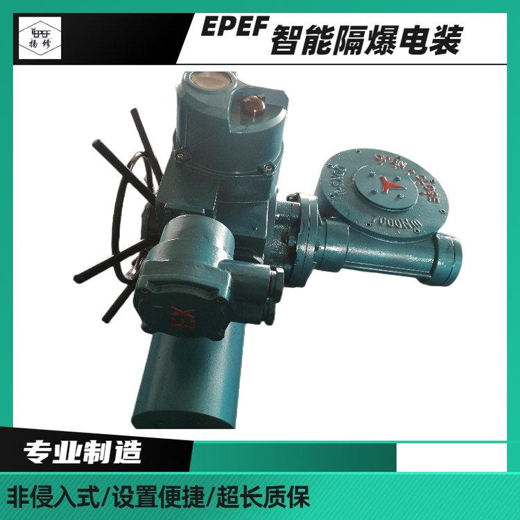 供應(yīng)揚修電力閥門執(zhí)行器DQB500-1WK