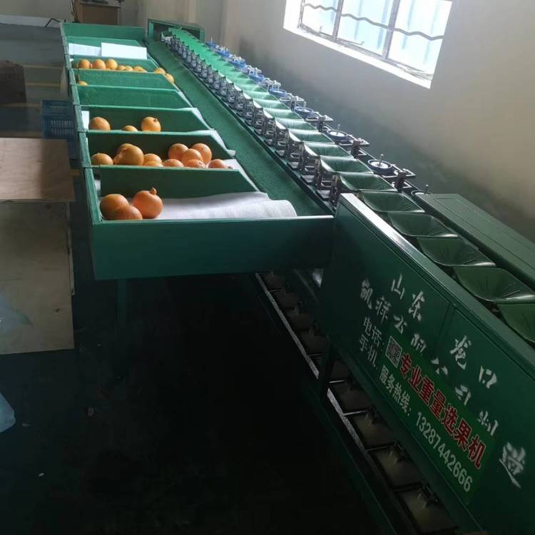 武鳴沃柑分選機(jī)稱重分選沃柑等級地機(jī)器分選速度快提高產(chǎn)品質(zhì)量