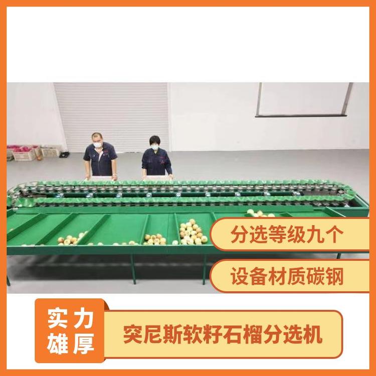 突尼斯軟籽石榴分選機(jī)，石榴選果必備石榴重量分揀機(jī)