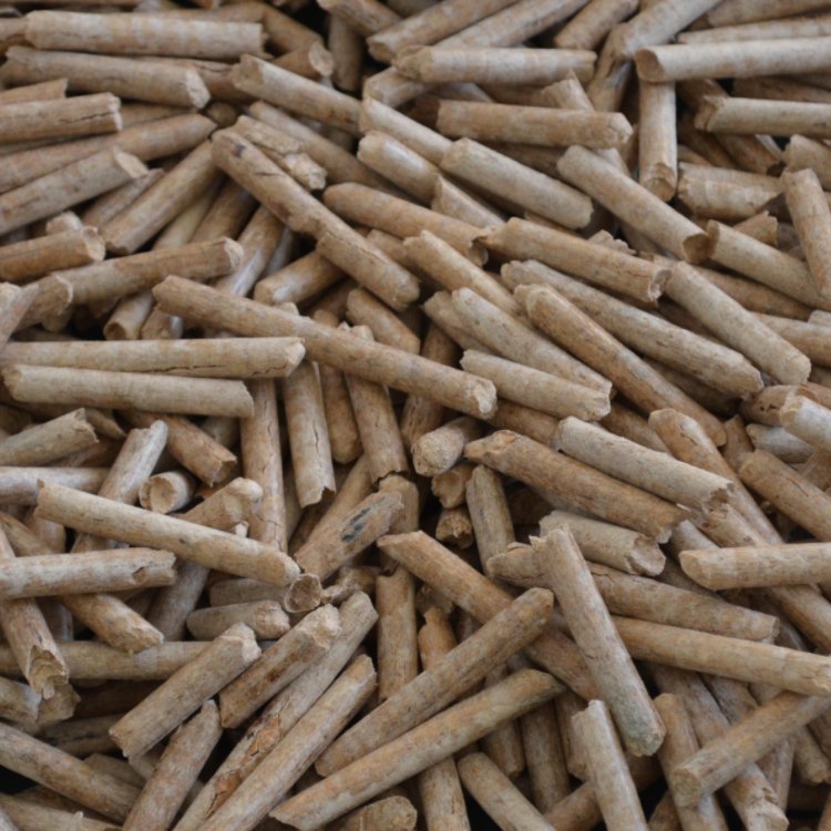阜新環(huán)保能源顆粒生產(chǎn)各種顆粒燃料常年銷售生物顆粒料遼寧龍晟生物質(zhì)顆粒供應廠家制作優(yōu)良