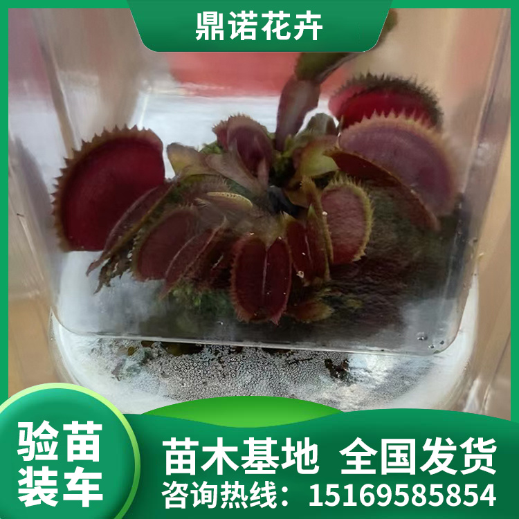 Lٶ^h(hun)F(xin)ڳ۶Zľ