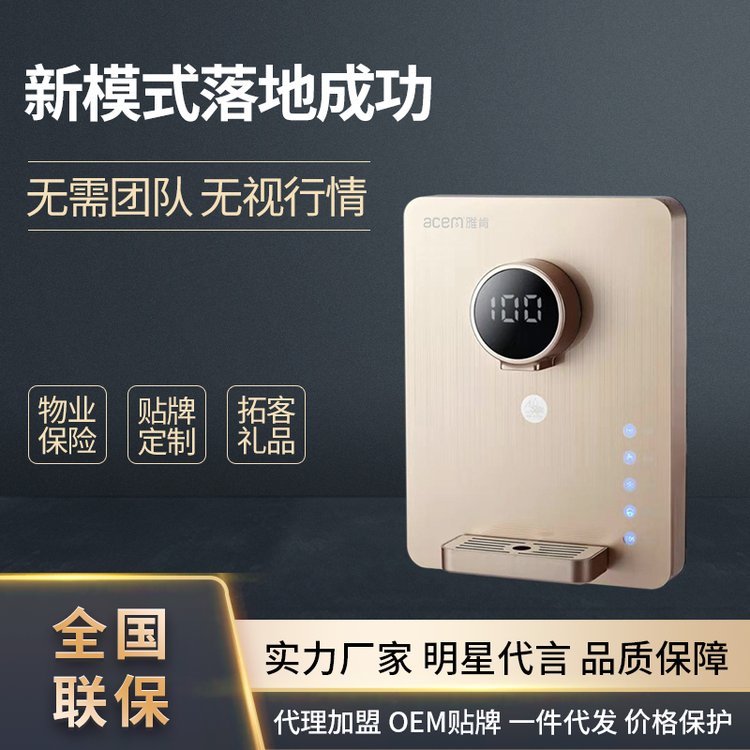 雅肯壁掛式速熱管線機(jī)防干燒防漏水壁掛式式飲水機(jī)無膽即熱式