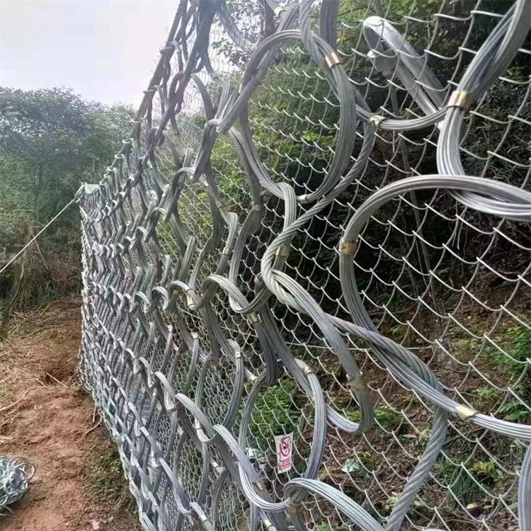 落石攔截環(huán)形網RXI-075型鋼絲網鐵路隧道柔性被動防護網