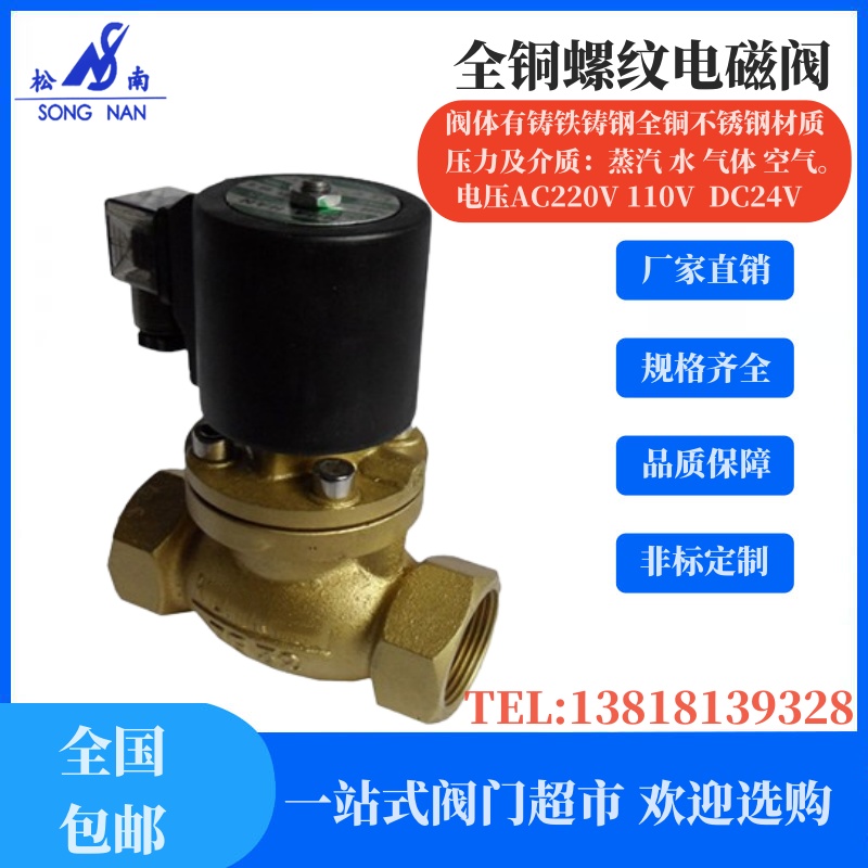 電磁閥ZW-16T全銅不銹鋼常閉和常開(kāi)電壓AC220VDC24V螺紋連接
