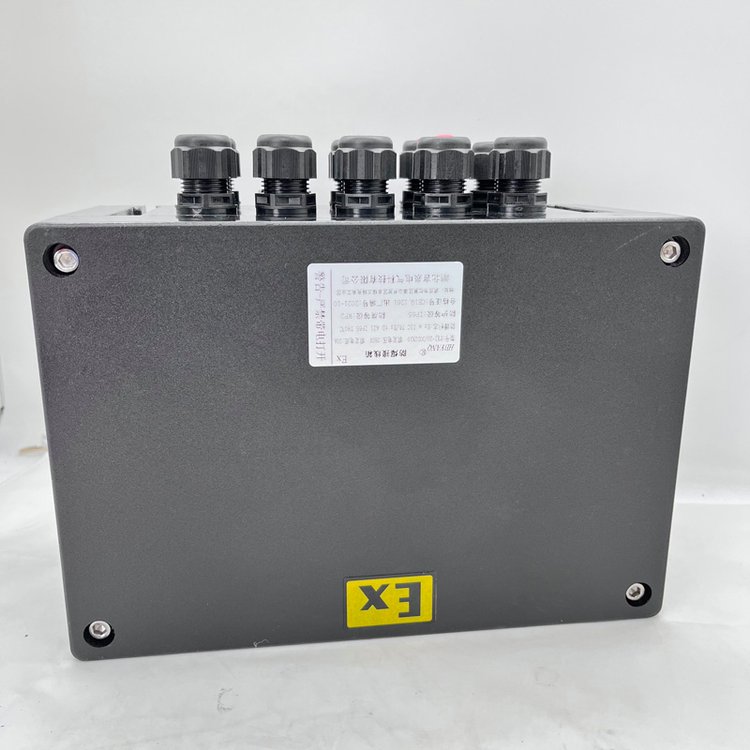 BXJ防爆防腐接線(xiàn)盒BXJ8050-S-20\/20粉塵防爆箱增安型端子箱