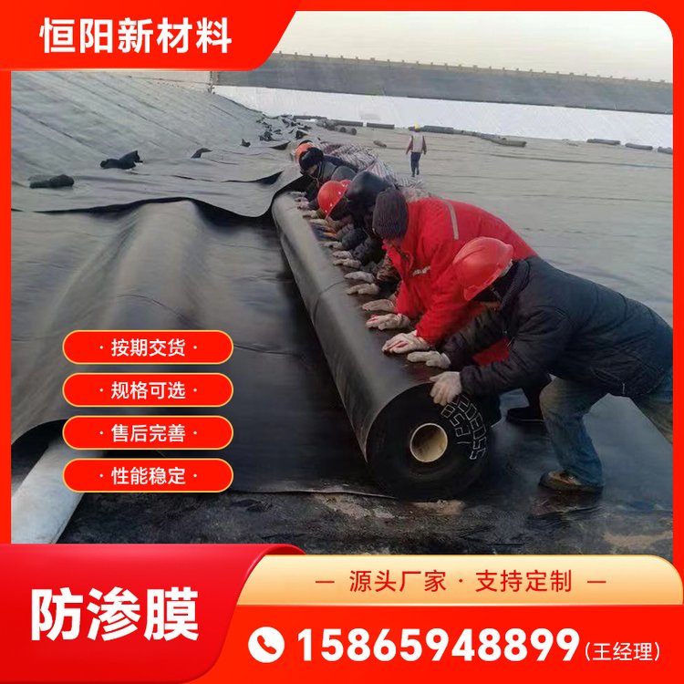 土工膜生產(chǎn)廠家HDPE垃圾填埋場(chǎng)防滲膜魚塘養(yǎng)殖工程工地塑料膜