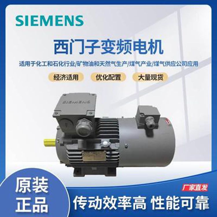 ͉늙C(j)IEC\ʽ1LE0003-3AB03-3AA4TF⚤4OFS315S*110KW