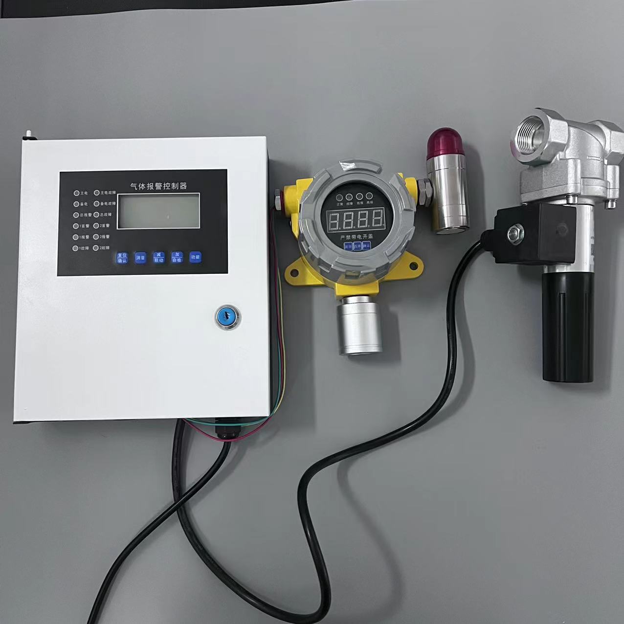 發(fā)電站和變電站蓄電池氫氣泄漏檢測(cè)儀、H2氫氣濃度報(bào)警器