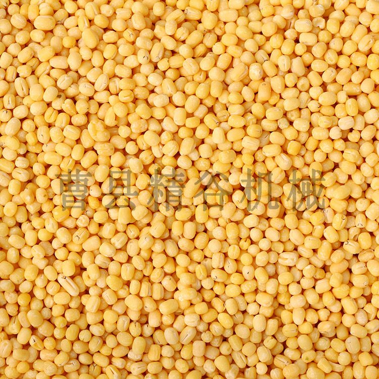 韓國(guó)綠豆脫皮機(jī)低溫烘干綠豆去皮機(jī)