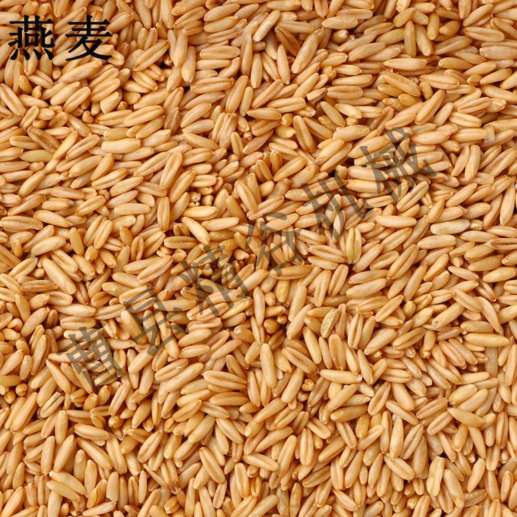 燕麥脫皮機價格新型燕麥莜麥脫皮機廠家