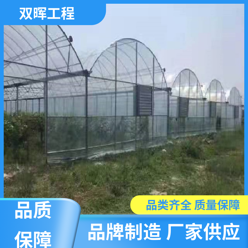雙暉工程連棟大棚搭建廠家發(fā)貨智能程度高堅固耐用