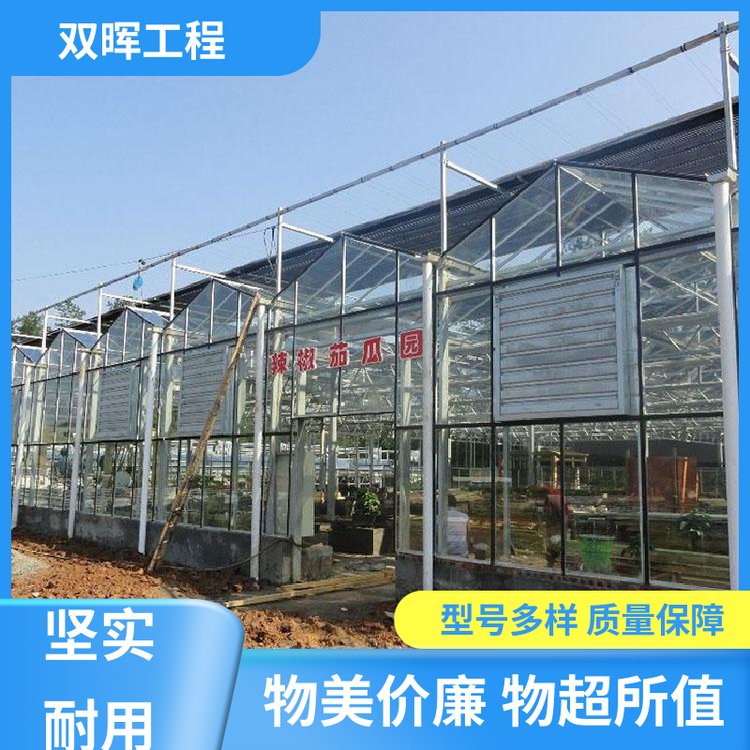 雙暉工程大型連棟溫室廠家發(fā)貨智能程度高結(jié)構(gòu)整體性好