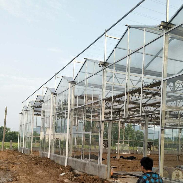 雙暉工程玻璃大棚造價外形美觀搭建快速結構整體性好