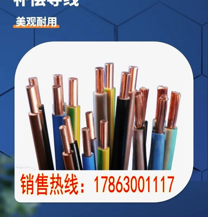 補(bǔ)償導(dǎo)線SC-FP3FP3、SC-FFP1、SC-FFP2、SC-FFP3廠家貨源