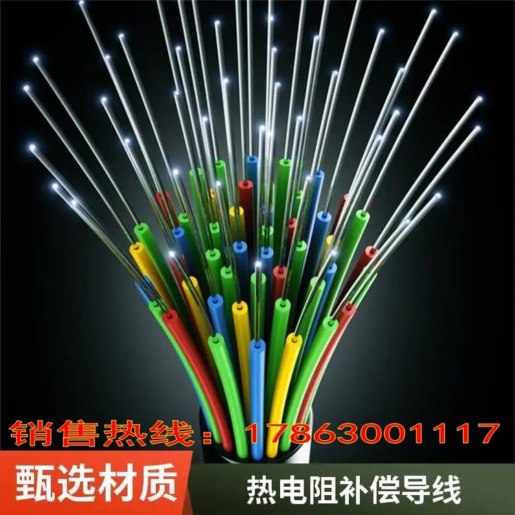 TX-FFP正極銅負(fù)極銅鎳補(bǔ)償導(dǎo)線tx-ffp氟塑料絕緣護(hù)套國(guó)標(biāo)現(xiàn)貨批發(fā)