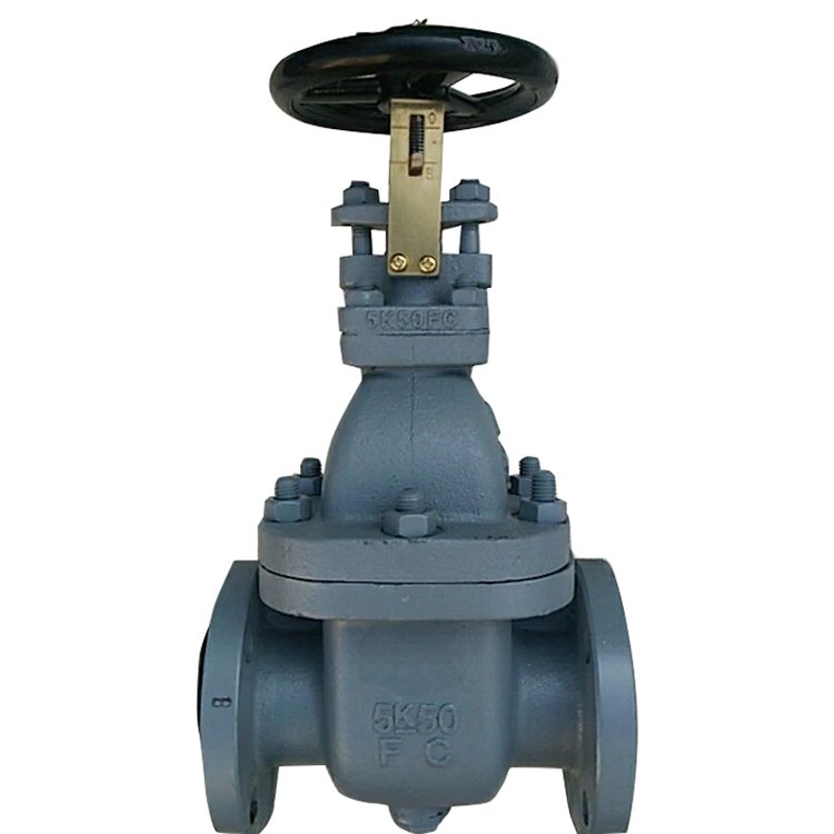 鑄鐵日標法蘭閘閥F7363GATEVALVECAST-IRONFLANGED