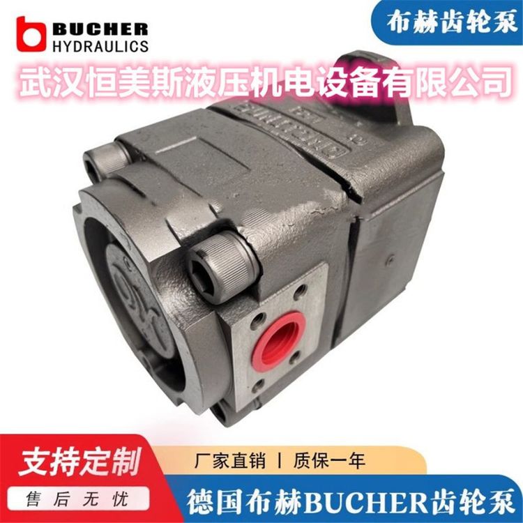 德國BUCHER布赫齒輪泵QX22-005R76，QX51-125L66，QX31-020R340