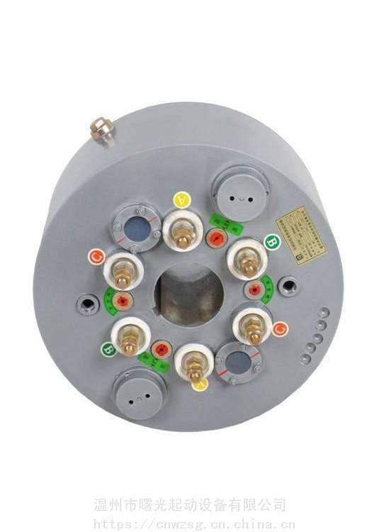 無(wú)刷液阻真空電機(jī)起動(dòng)器WSZK-450KW廠家