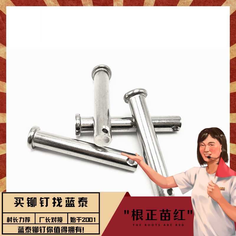 鍍鋅穿孔平頭銷軸4.8級(jí)帶孔圓頭高強(qiáng)度定位銷子M6-M16